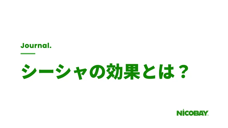シーシャの効果とは何かを解説する見出し画像