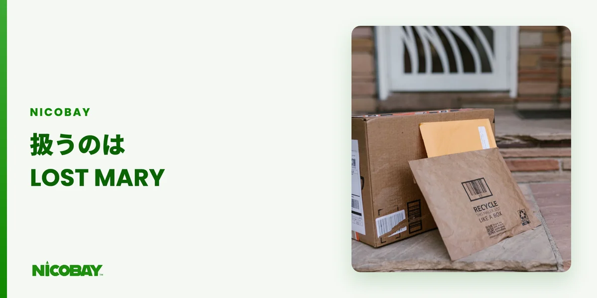 NICOBAYで扱うLOST MARYの製品と価格を示す記事CV画像