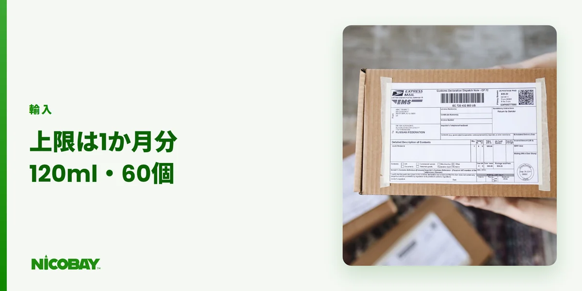 ニコチン入りのNASTYを個人輸入するときの上限と決まりを示す見出し画像