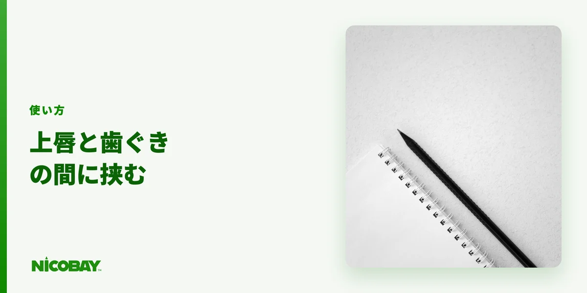 無煙タバコを上唇と歯ぐきの間に挟む使い方を示す見出し画像